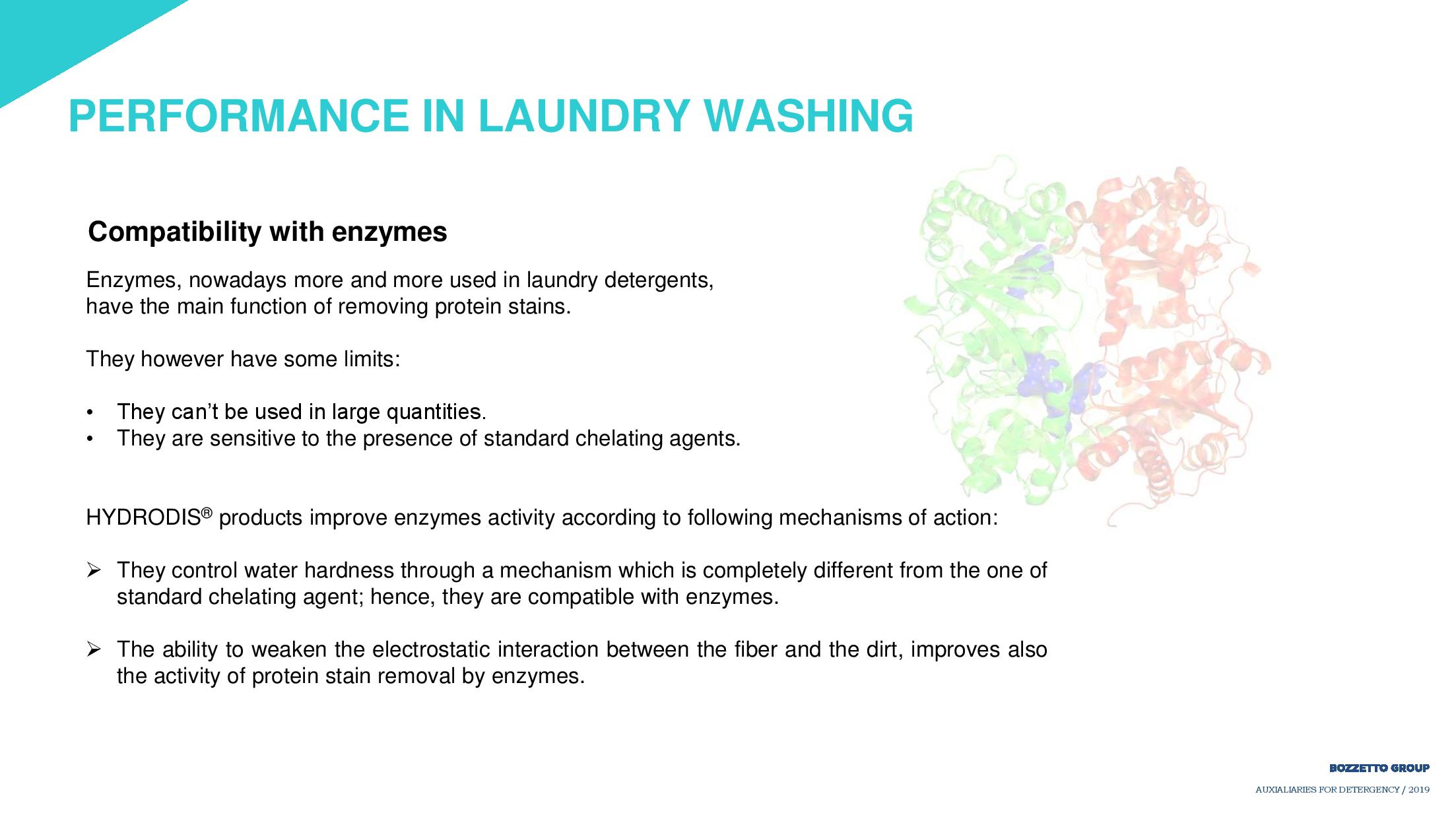 Detergency 2019 presentation-page-021
